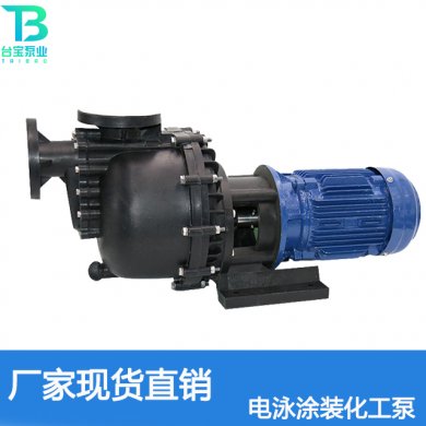 电泳涂装化工泵